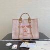 Replica Chanel 19 Pouch AP0951 Blush 2
