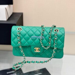 Replica Chanel Small Classic Double Flap Bag 23cm Lambskin New Light Green