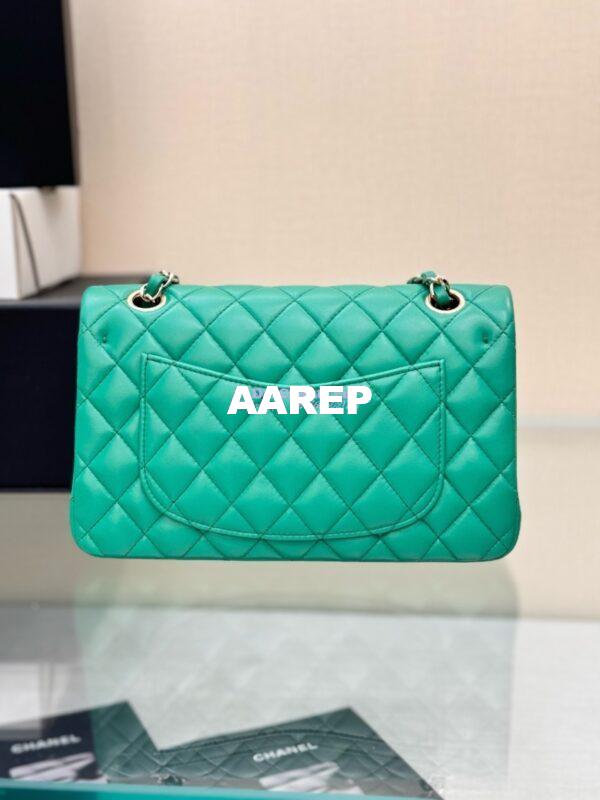 Replica Chanel Small Classic Double Flap Bag 23cm Lambskin New Light Green 8