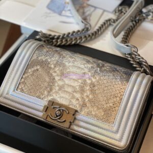 Replica Chanel Python Boy Chanel Flap Bag Ruthenium Hardware Iridescent Champagne
