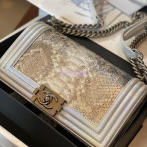 Replica Chanel Python Boy Chanel Flap Bag Ruthenium Hardware Iridescent Champagne 2