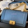 Replica Chanel Python Boy Chanel Flap Bag Ruthenium Hardware Iridescent Champagne