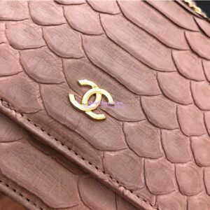 Replica Chanel Classic Wallet On Chain WOC in Python Leather 33814 C10 2