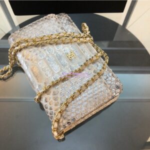 Replica Chanel Classic Wallet On Chain WOC in Python Leather 33814 C09 2