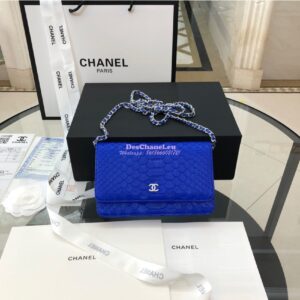 Replica Chanel Classic Wallet On Chain WOC in Python Leather 33814 C07