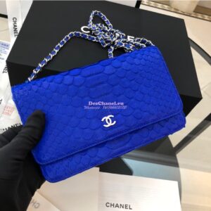 Replica Chanel Classic Wallet On Chain WOC in Python Leather 33814 C07 2