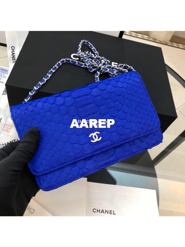 Replica Chanel Classic Wallet On Chain WOC in Python Leather 33814 C07 2