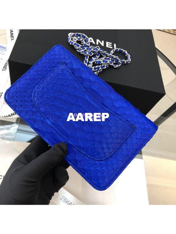 Replica Chanel Classic Wallet On Chain WOC in Python Leather 33814 C07 5