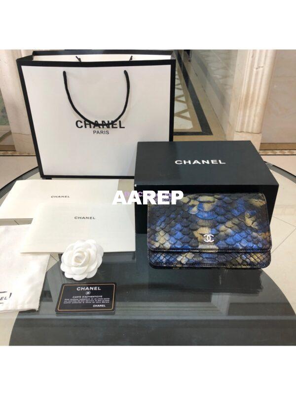 Replica Chanel Classic Wallet On Chain WOC in Python Leather 33814 C06