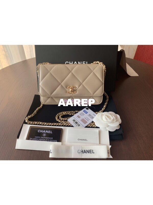 Replica Chanel Trendy CC Wallet On Chain WOC in Large Quilting Lambskin A80982 Grey 3