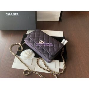 Replica Chanel Iridescent 19s CC Wallet On Chain WOC AP0315 Pearly Black 2