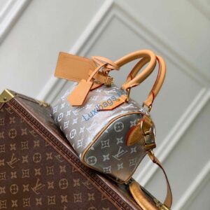Louis Vuitton LV M28307 Speedy P9 Bandoulière 20 Bag Silvery
