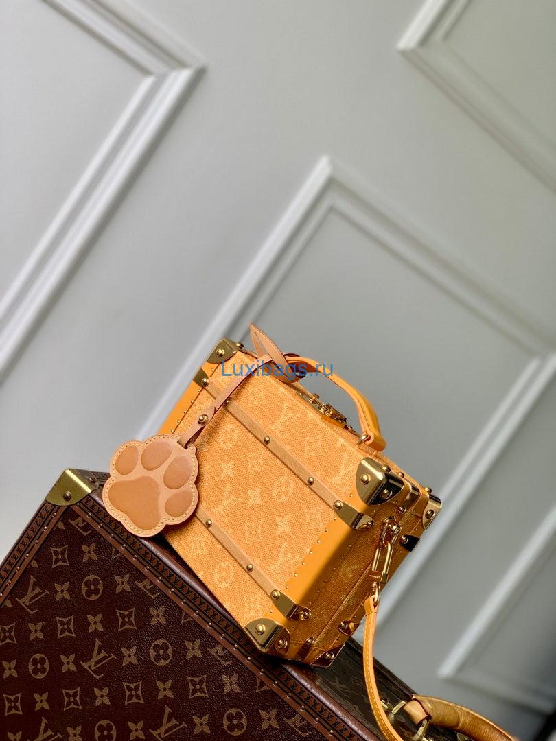 LV M12458 Louis Vuitton Handle Trunk Bag Yellow - Image 5
