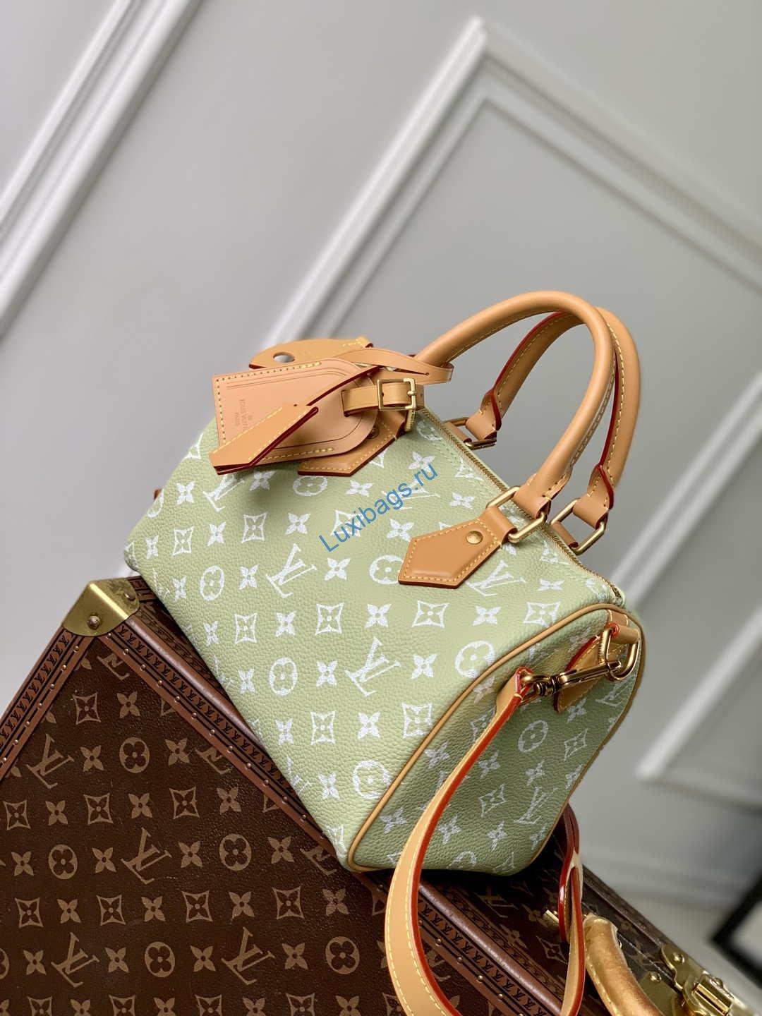 LV M24443 Louis Vuitton Speedy P9 Bandoulière 25 Bag Fruit Green Leather
