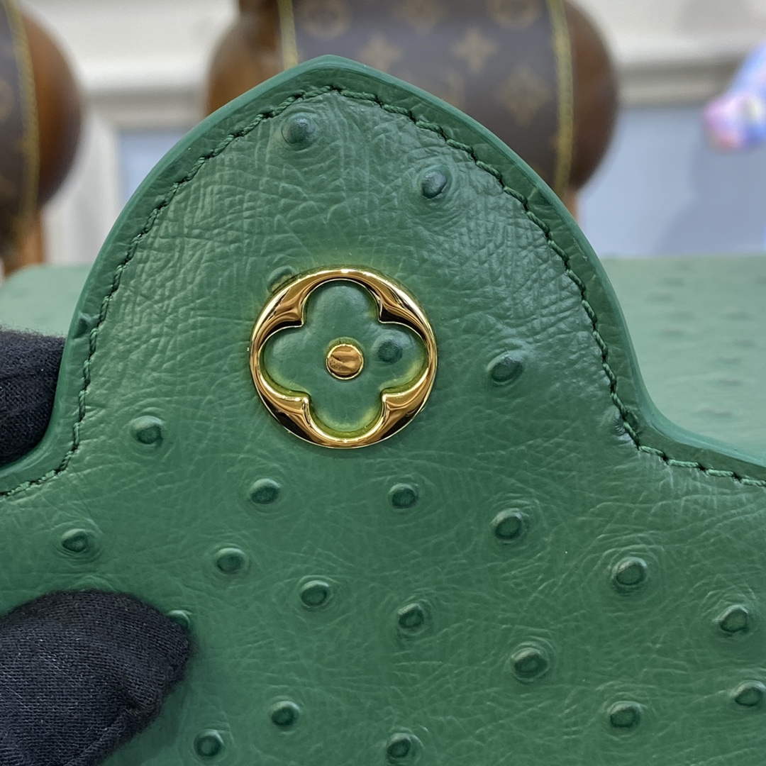 LV N93075 Louis Vuitton Capucines Mini Handbag Mint Green - Image 8