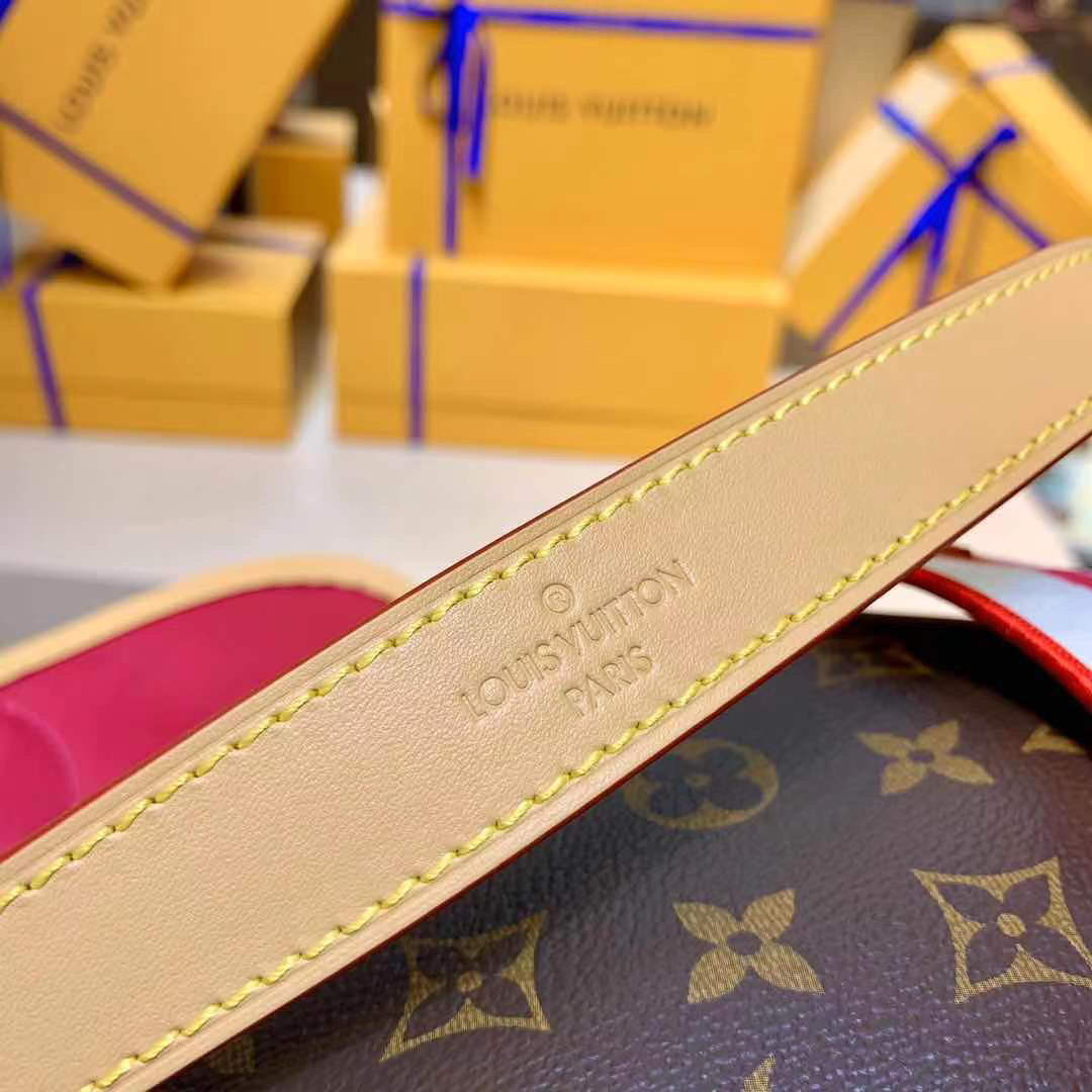 LV M46049 Louis Vuitton Diane Bag Monogram M45985 - Image 8