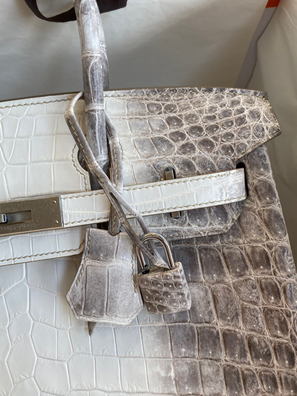 Hermes Birkin 25 Retourne Bag In Himalaya Niloticus Crocodile Skin - Image 2
