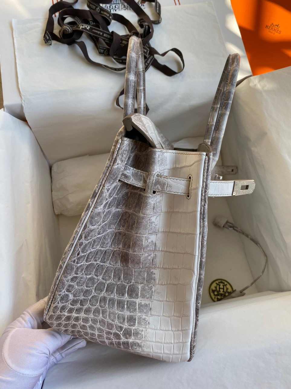 Hermes Birkin 25 Retourne Bag In Himalaya Niloticus Crocodile Skin - Image 4