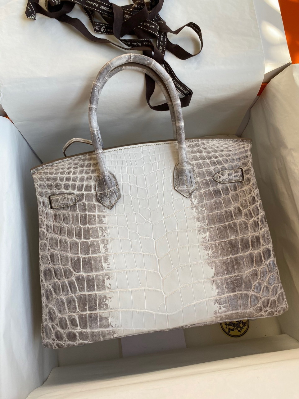 Hermes Birkin 25 Retourne Bag In Himalaya Niloticus Crocodile Skin - Image 9